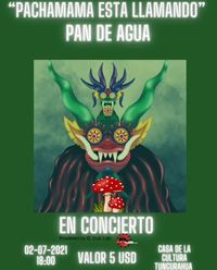 Pan De Agua en Concierto