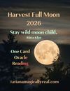 Harvest Full Moon One Card Oracle Card Reading