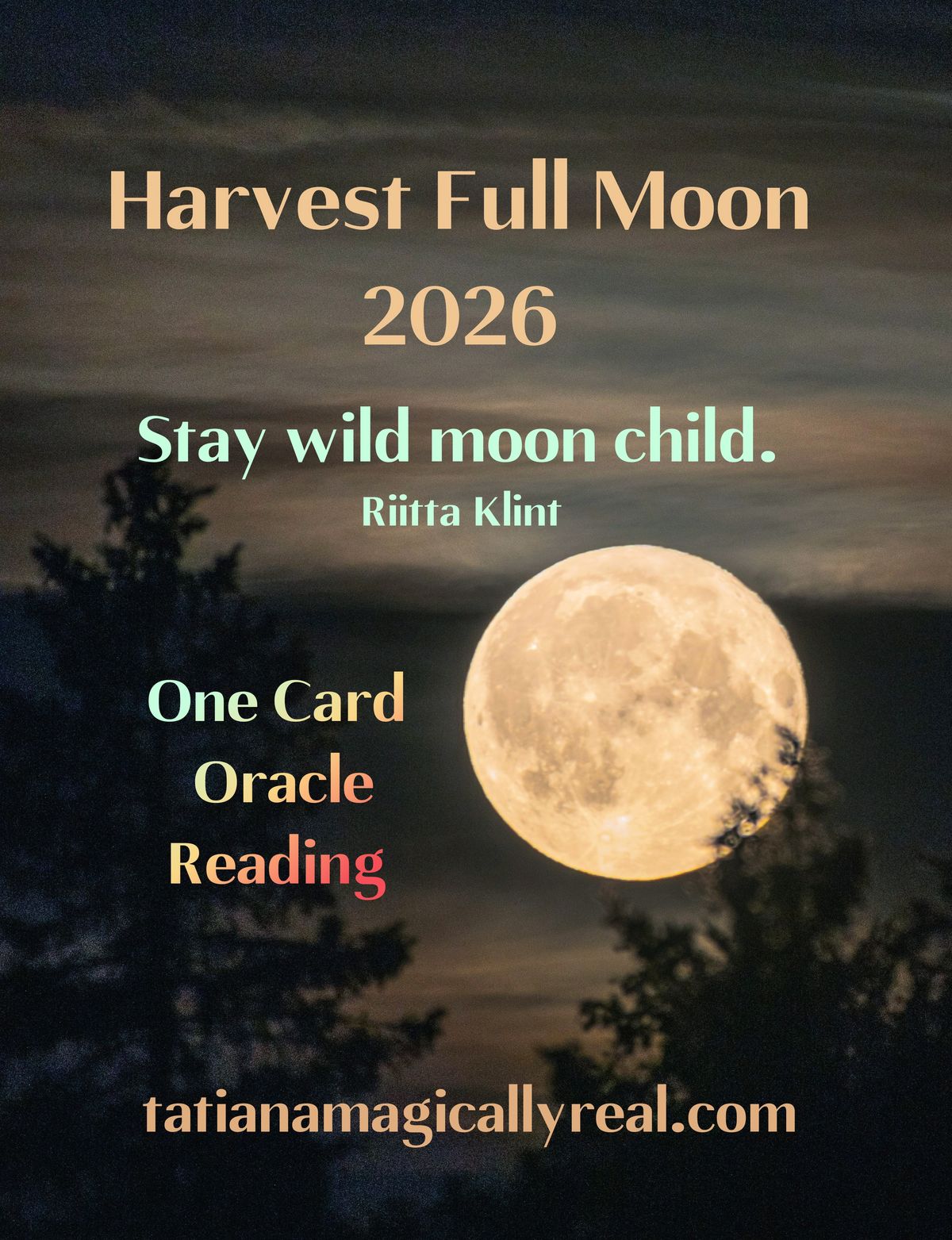 Harvest Full Moon One Card Oracle Card Reading