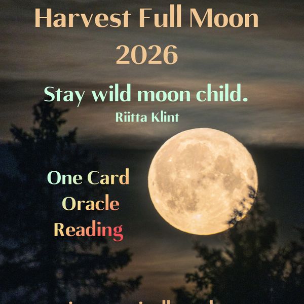 Harvest Full Moon One Card Oracle Card Reading