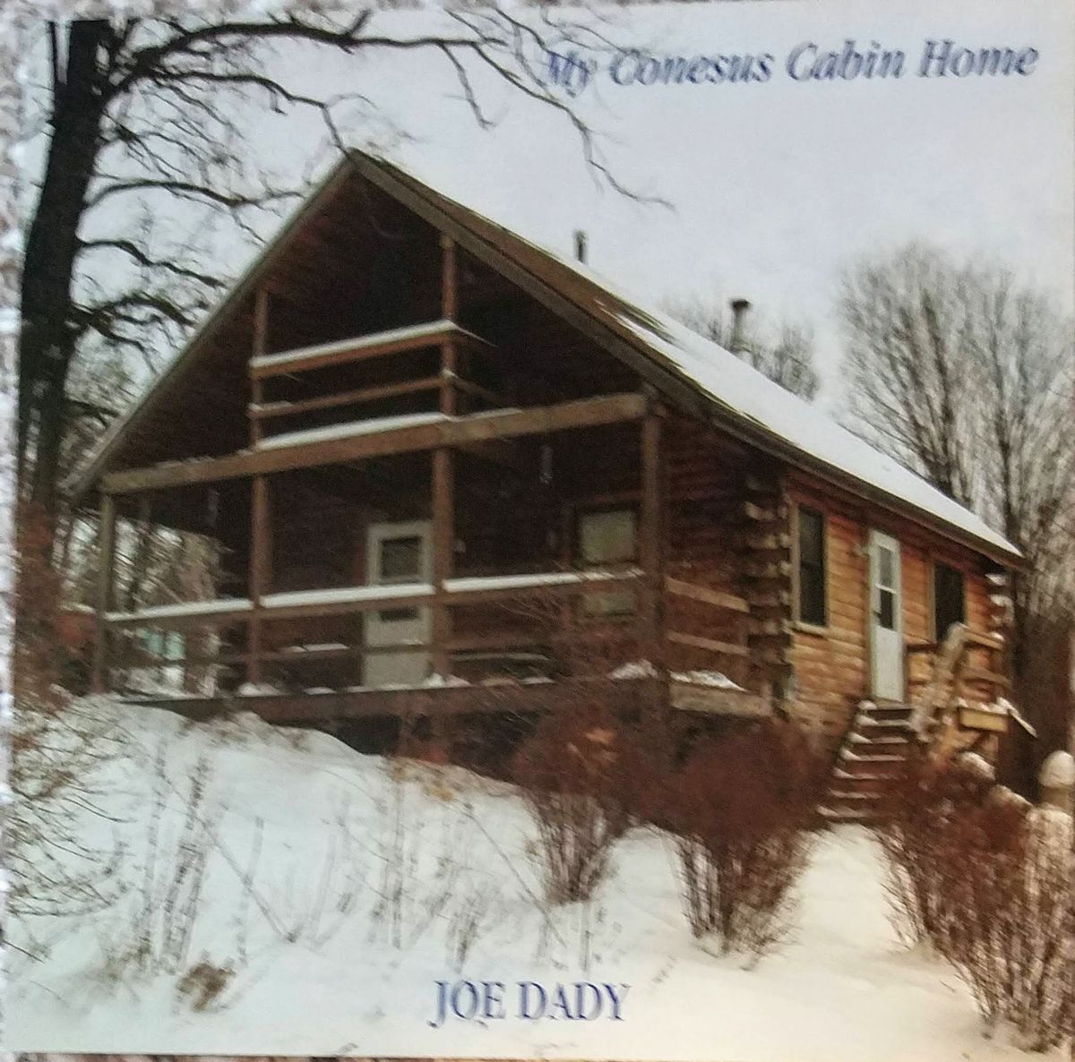 My Conesus Cabin Home - 2005