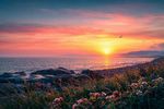 Sunrise & Sunset 25 Images