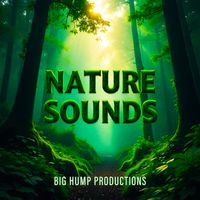 Nature Sounds Vol 2 by Big Hump Productions