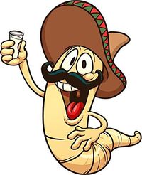 Cuatro de Mayo Party