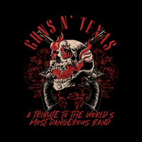 Guns N' Texas in Friendswood, TX