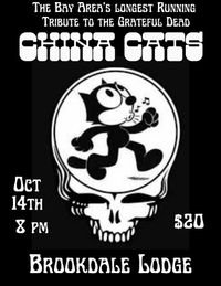 China Cats at Brookdale Lodge
