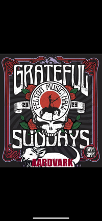 Grateful Sundays at Felton Music Hall