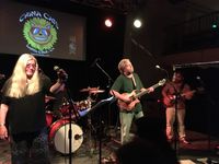 China Cats at Vets Hall