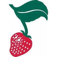 Strawberry Music Festival