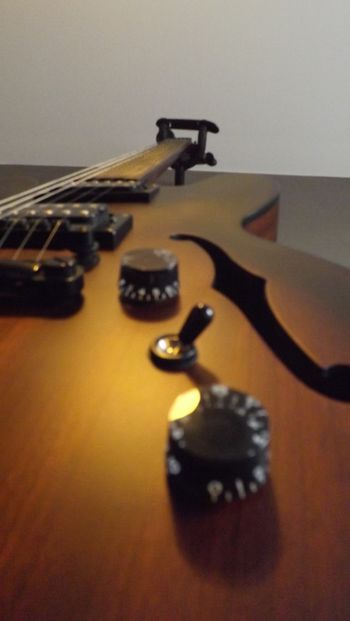 The Dot Studio gives warm tones with its Alnico Classic Humbucker pickups
