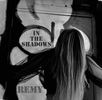 In the Shadows - CD