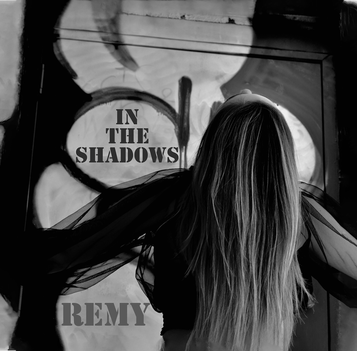 In the Shadows - CD