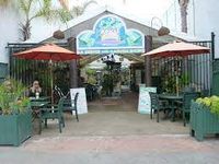 Ginger Roots Duo Live at OB JAVA and BREW Ocean Beach