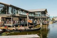 Ginger Roots and The Protectors Live at Amalfi Marina Bar at Lake San Marcos