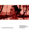 Blood Red Sun - CD