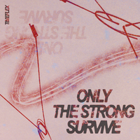 Only The Strong Survive by Timeflex