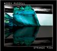 Strange Tide (EP)
