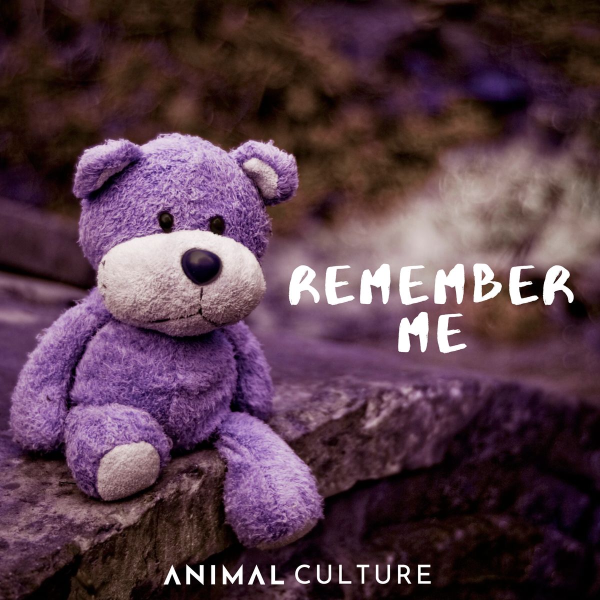 Remember Me