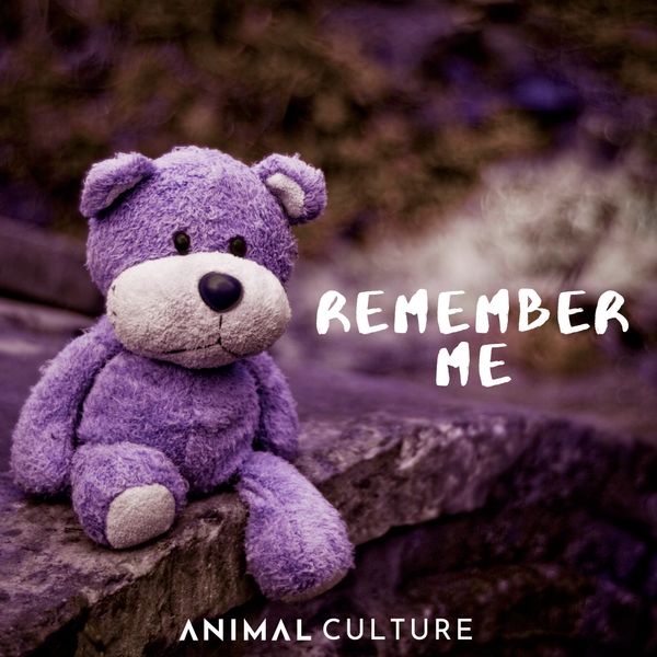 Remember Me