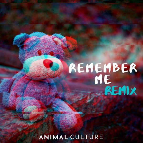 Remember Me - Remix