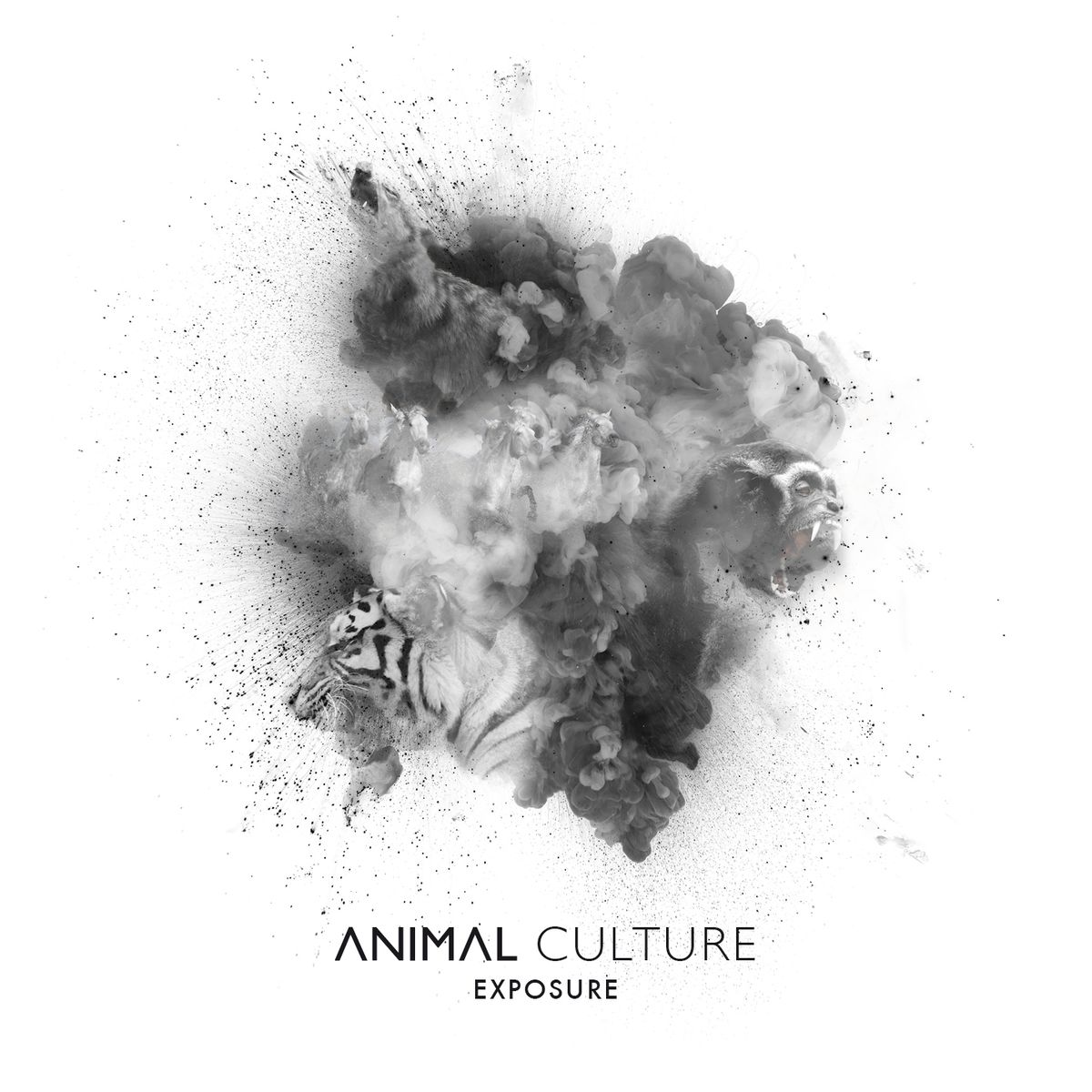 Exposure - CD