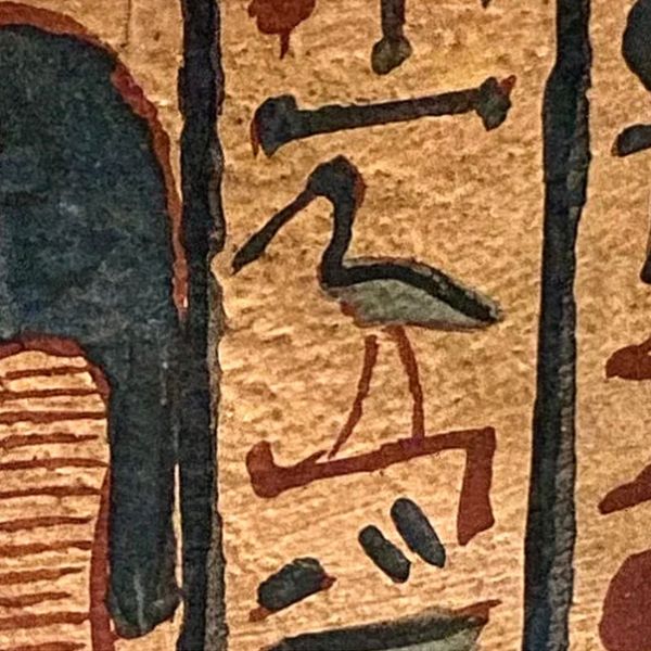 Thoth Wear 