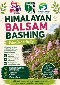 Balsam Bashing 