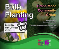 Bulb Planting 