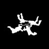 Skydivers Pin