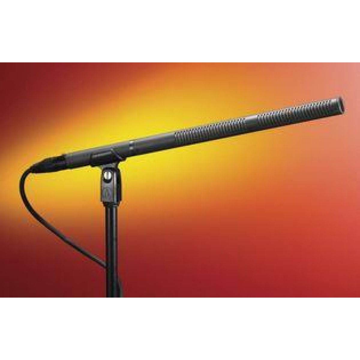Audio Technica AT8035 Shotgun Mic (Rent)