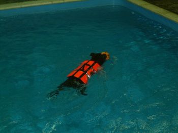 AMY HAVING A SWIM
