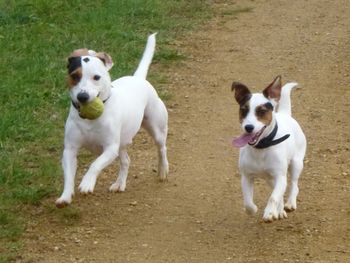 JACK AND POPPY
