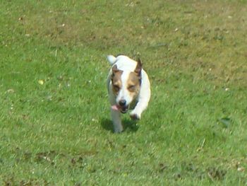 ISLA'S ACTION SHOT !
