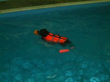 AMY ENJOYING HER HYDROTHERAPY !
