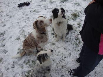 CRACKER, WIZZY AND GEM
