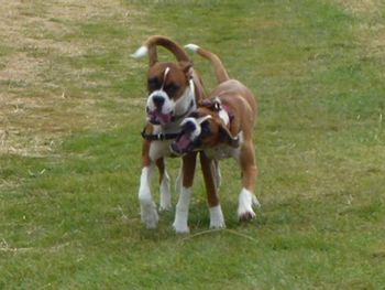 MAGGIE AND AUDREY
