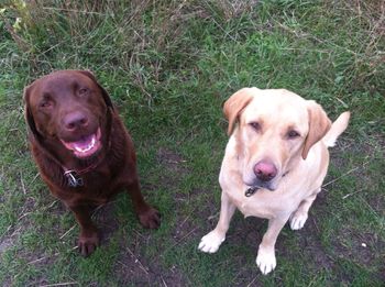 Scooby and Fudge
