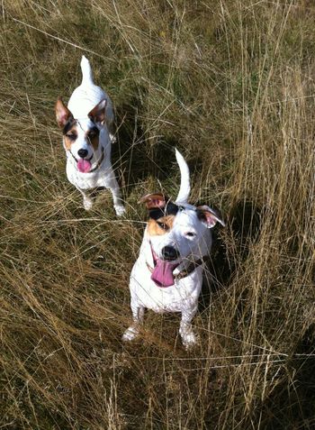 Jack and Poppy
