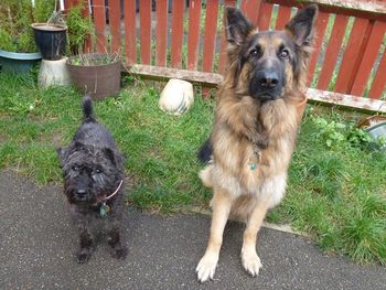 BLUE AND KATIE
