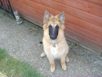 TAYLOR - HOW CUTE IS HE !
