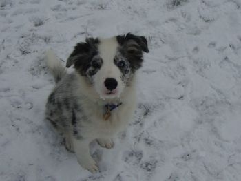 GEM WITH HER SNOW BEARD !
