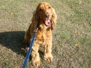 MYLO

