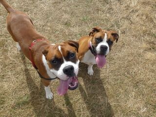 MAGGIE AND AUDREY - JUST LOOK AT THOSE FACES !!
