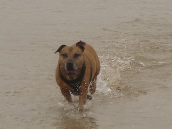 MOBYS ACTION PHOTO !
