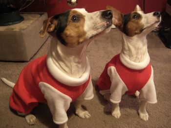 SANTA JACK AND SANTA POPPY !
