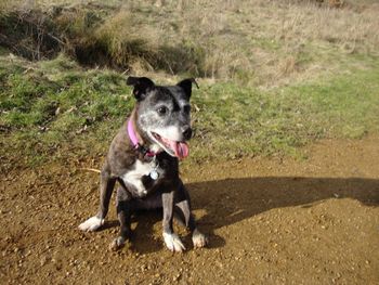 AMY PROVING THAT EVEN OLD LADIES OF 14 STILL LOVE THEIR WALK !
