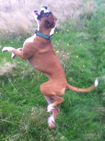 Catch it Audrey !
