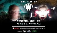 Assemblage 23
