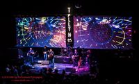 Crowded Streets - The Dave Matthews Experience