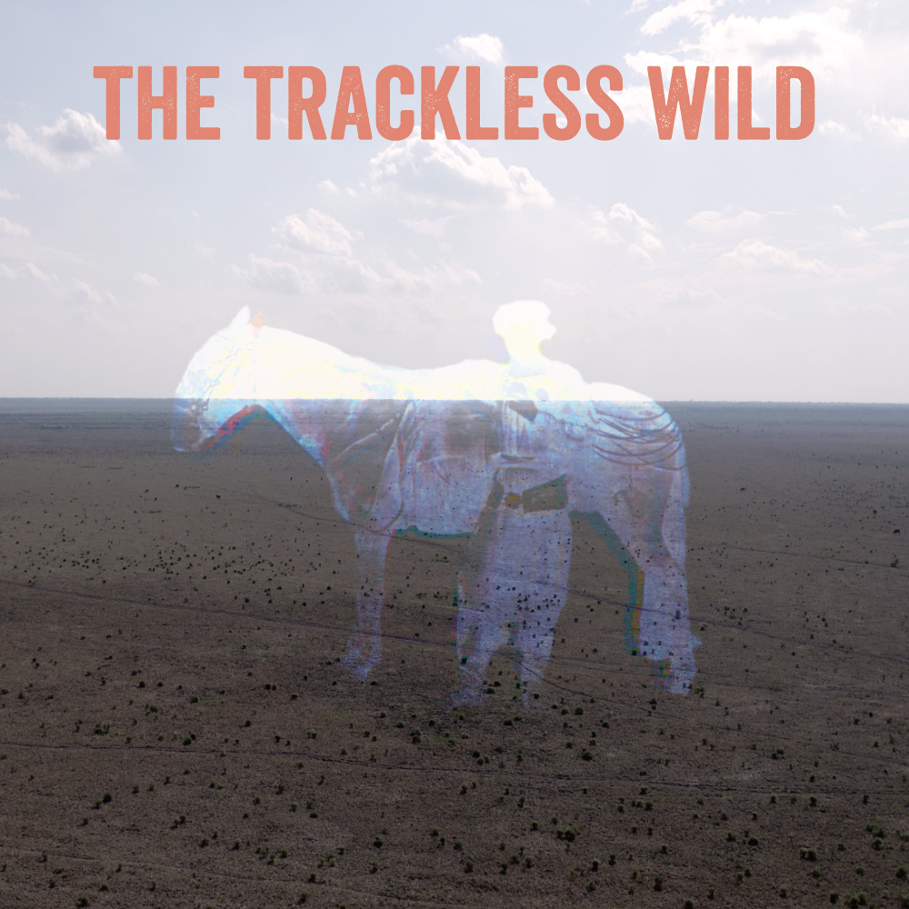 The Trackless Wild film